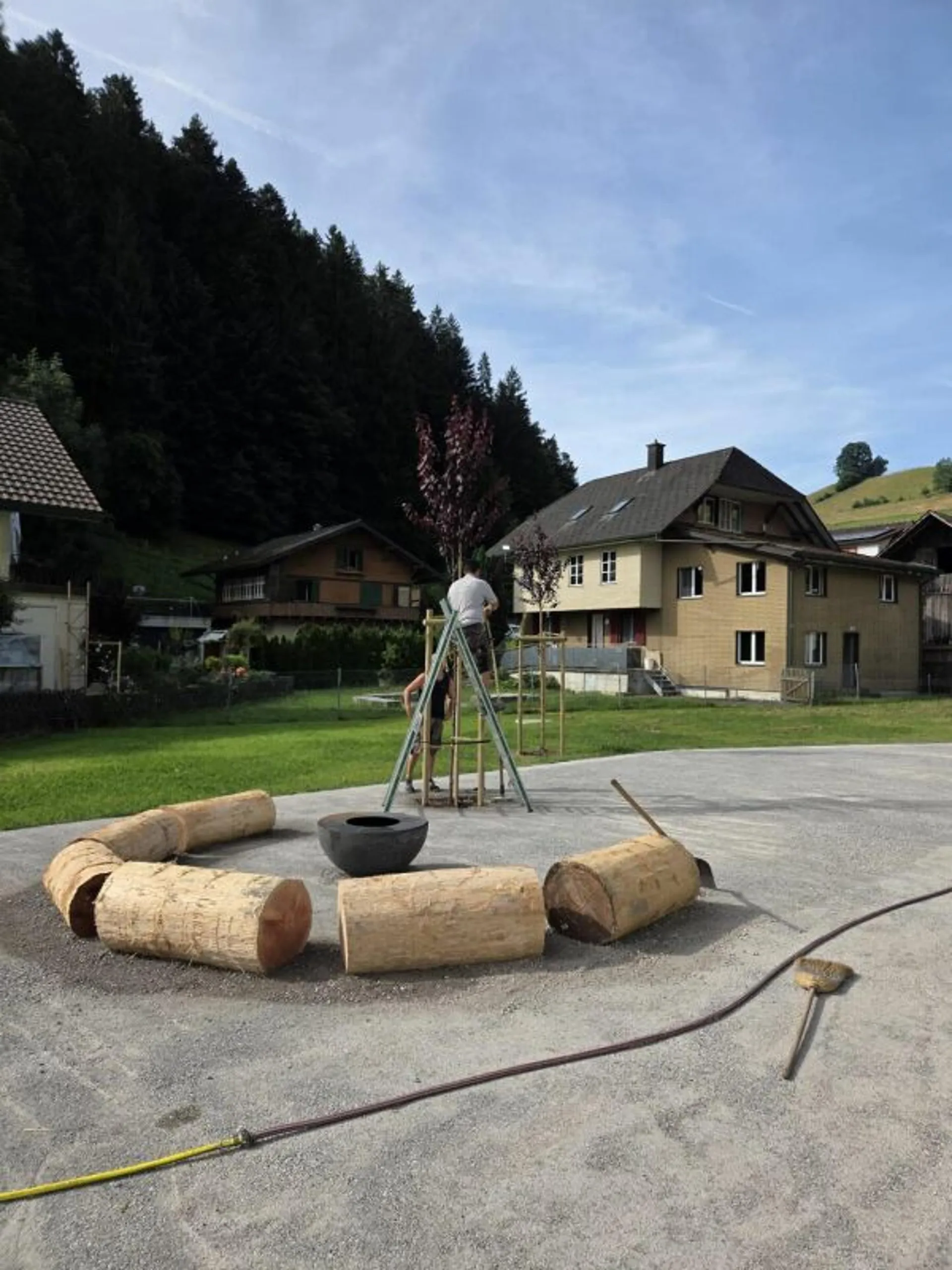 Image 12