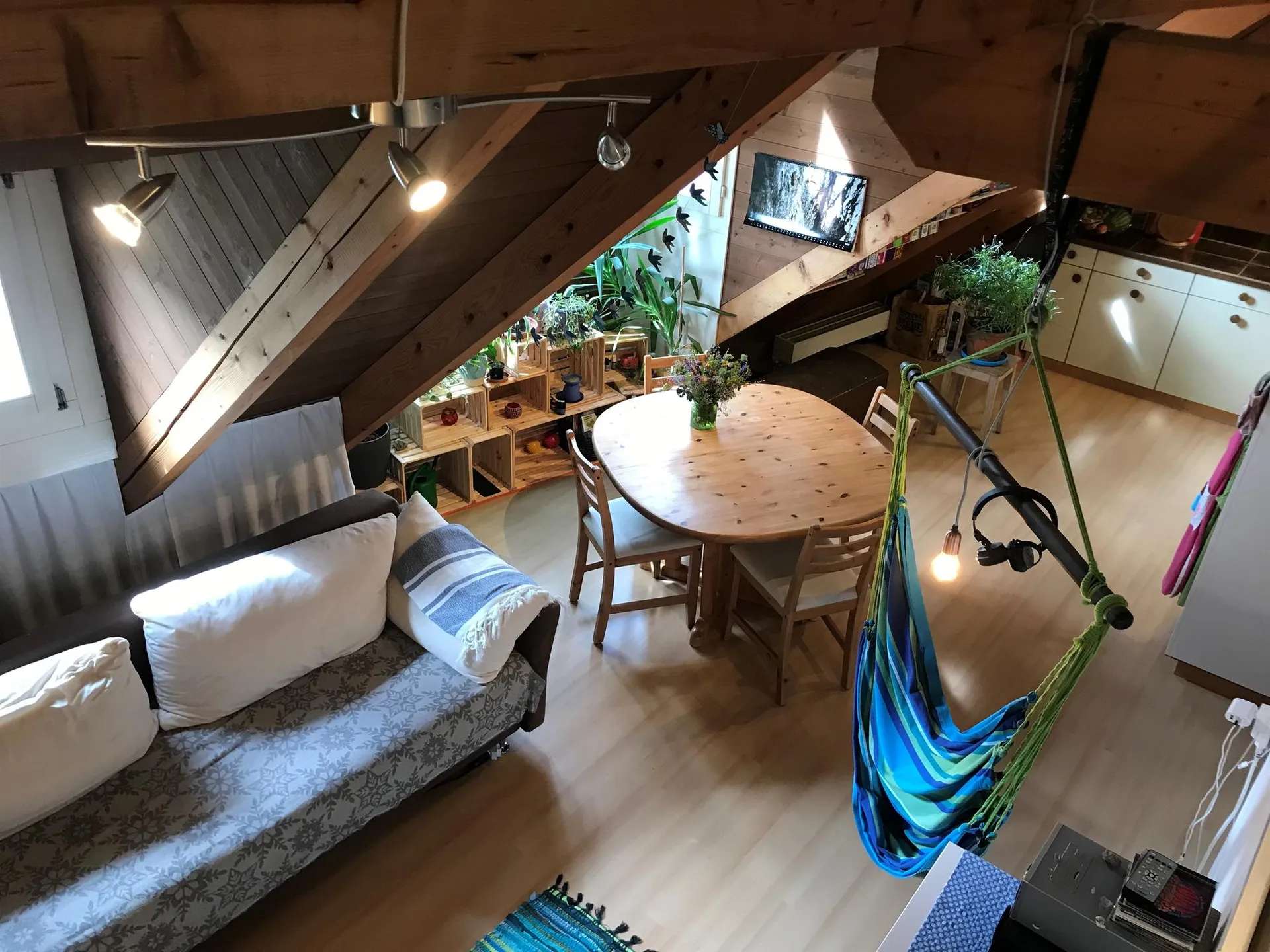Image 5