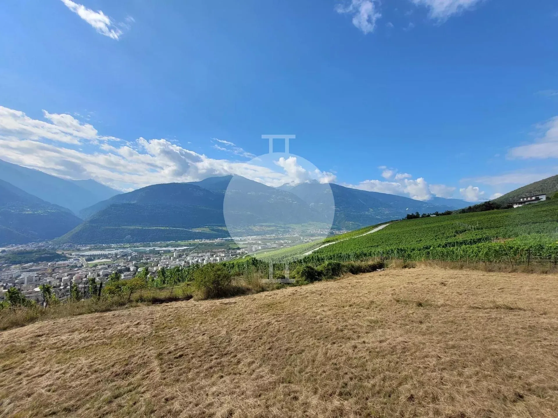 Image 6