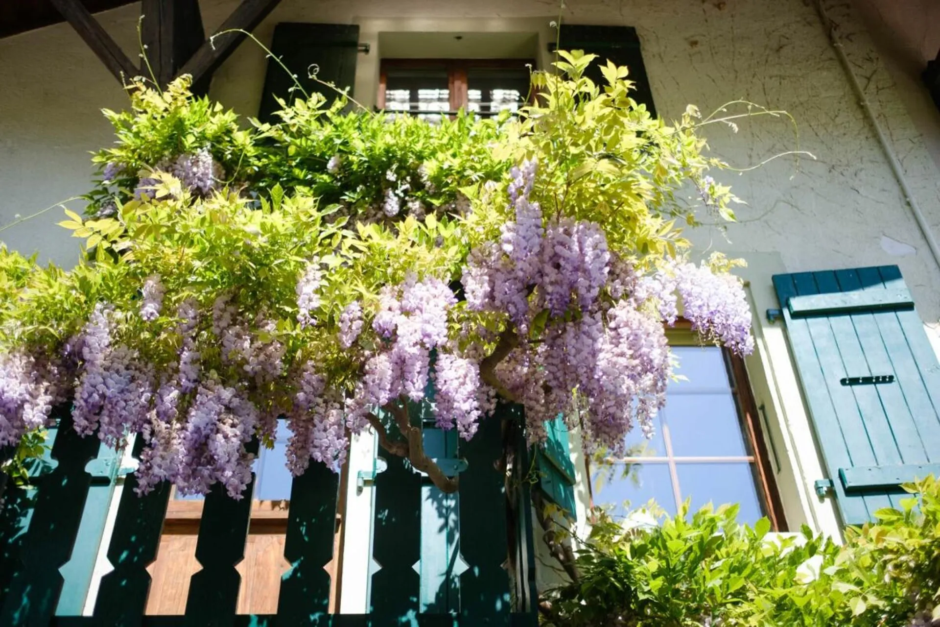 Immagine 8