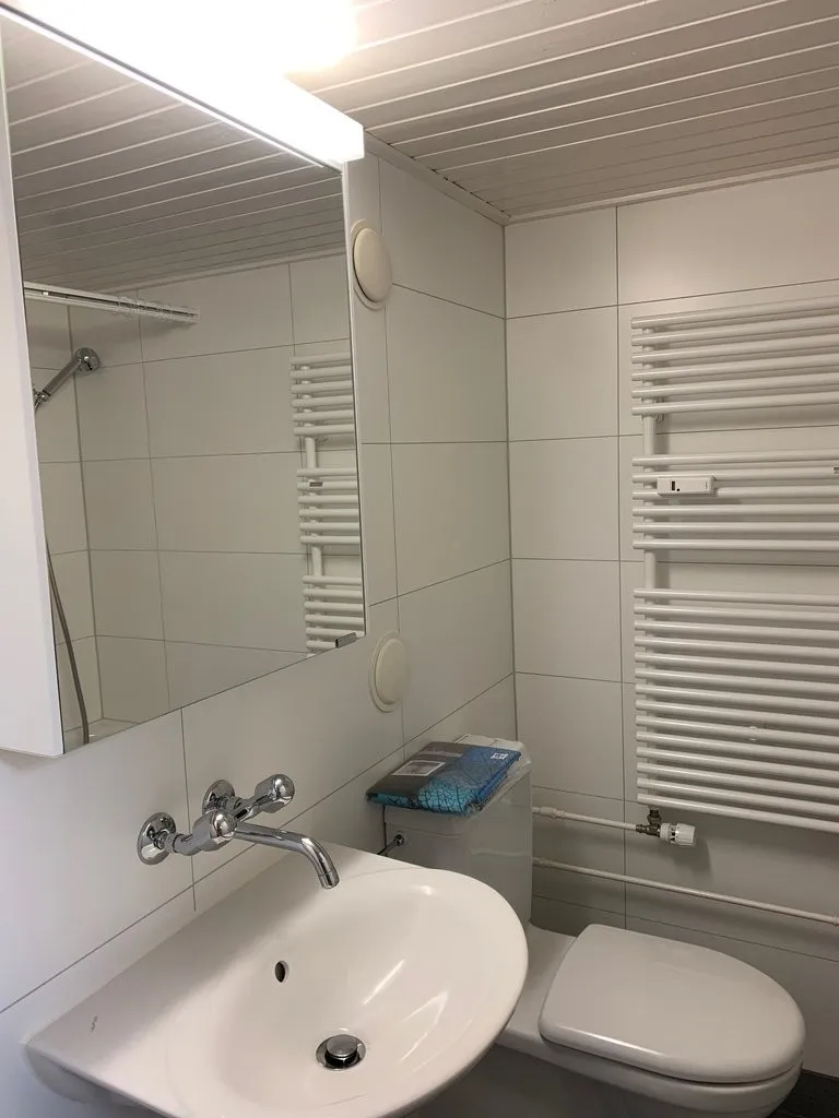 Moderne Dachwohnung in Oberburg