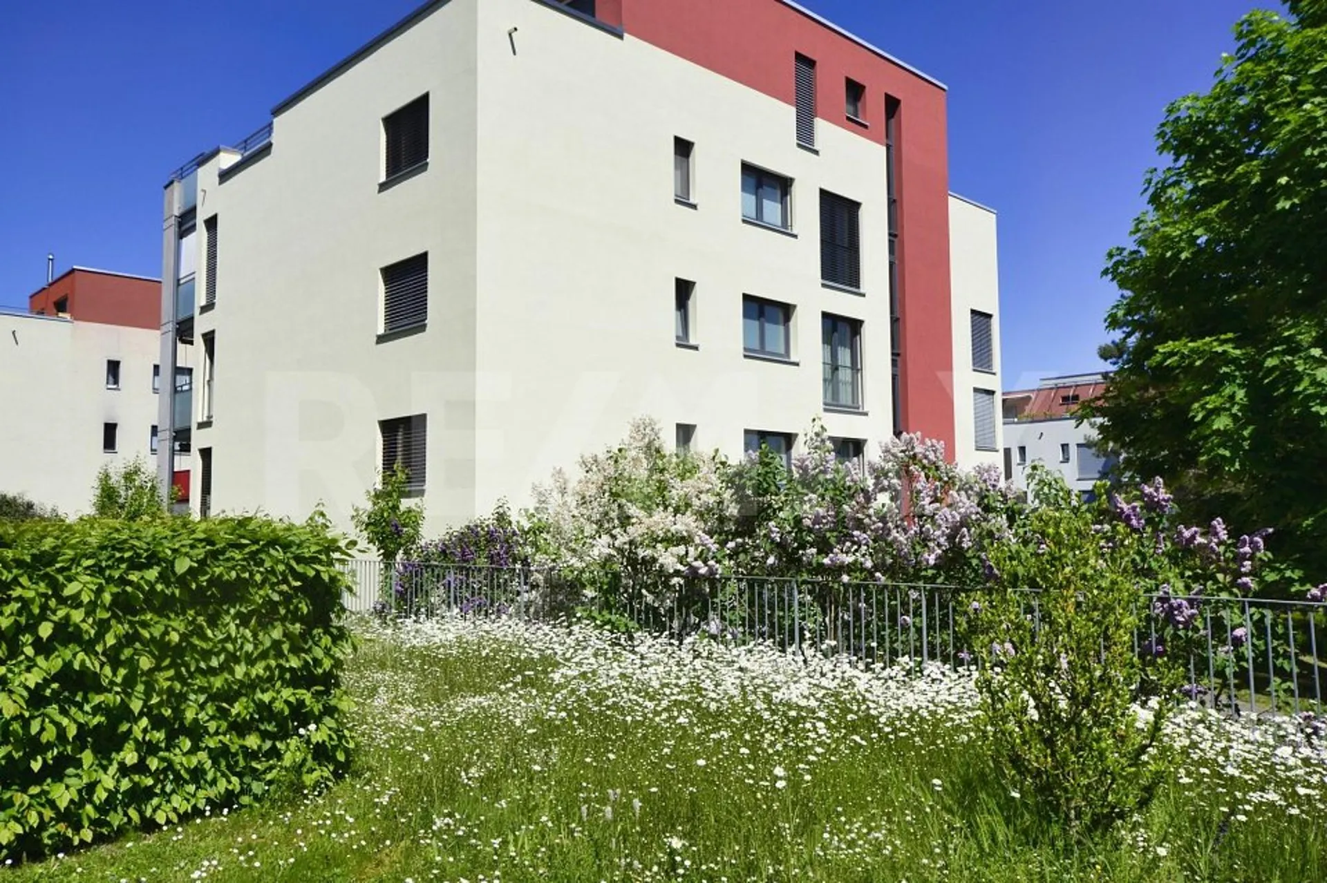 Bild 5