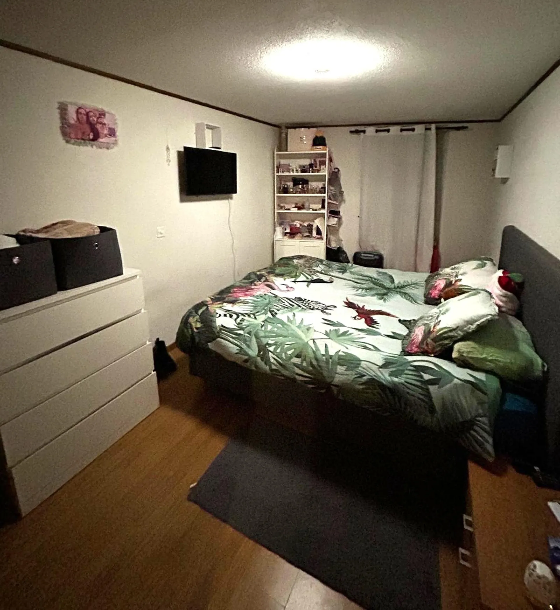 Image 6