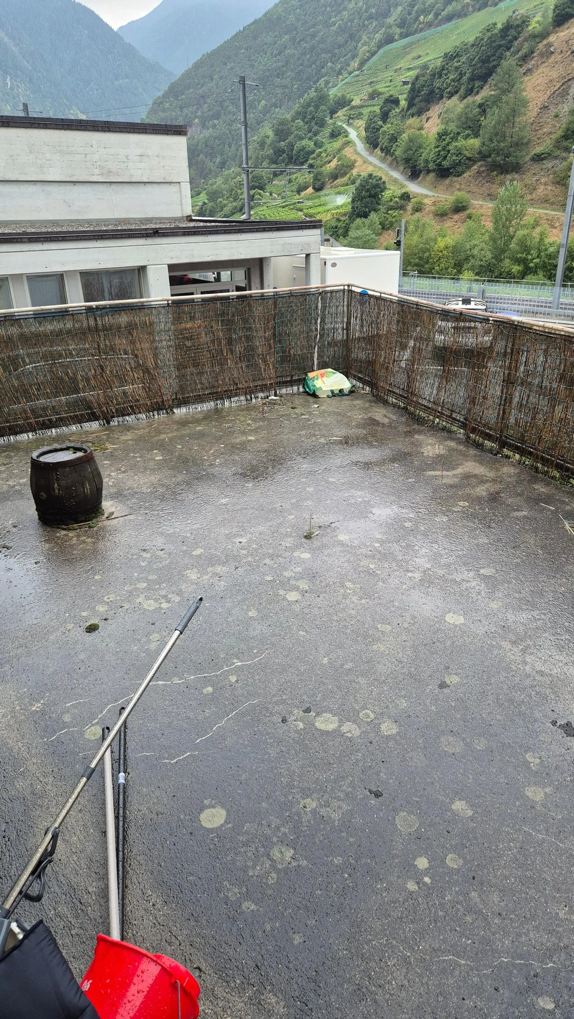 Image 13