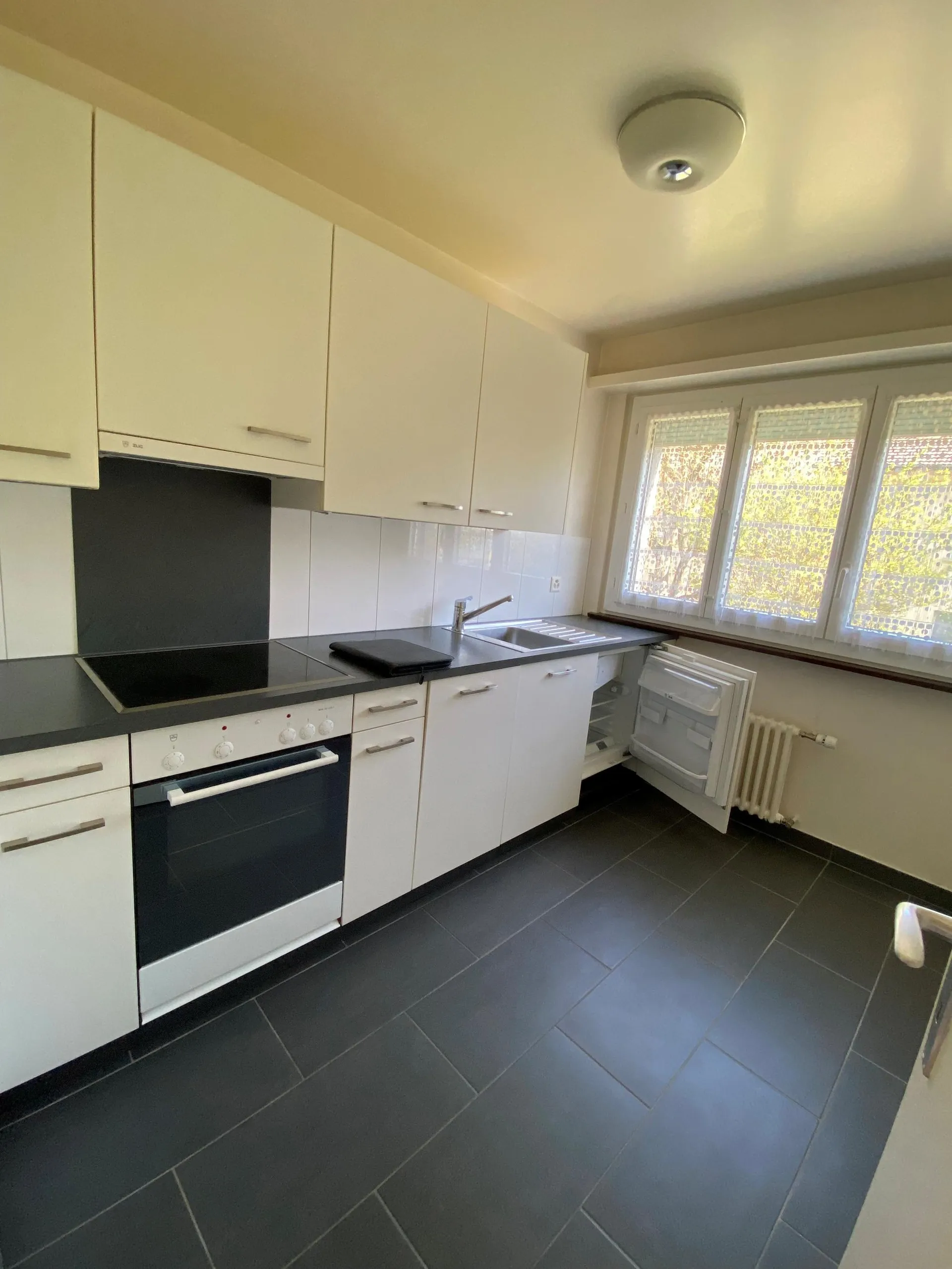 A louer, appartement de 1,5 pièces au rez-de-chaussée
