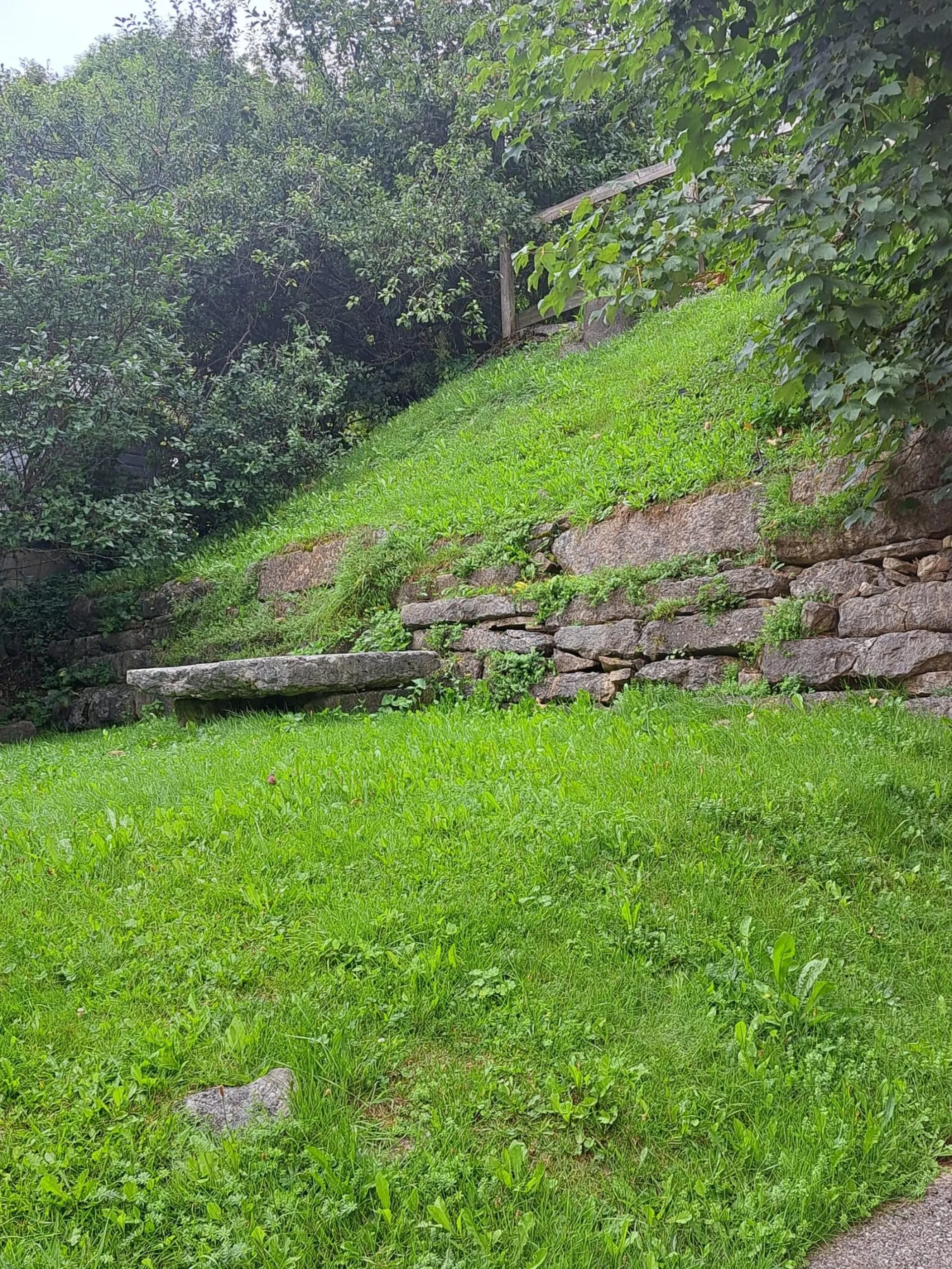 Image 13