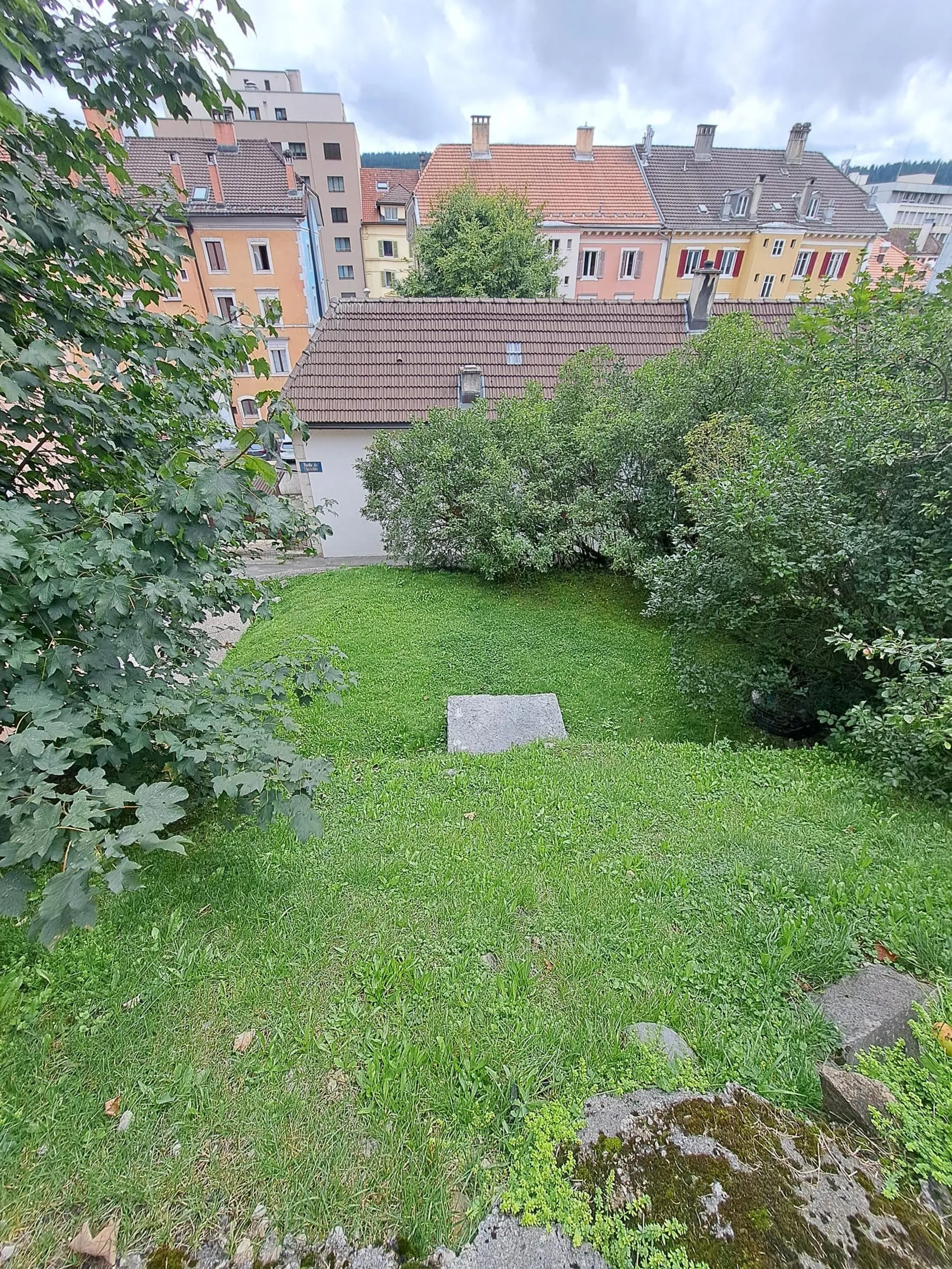 Image 11