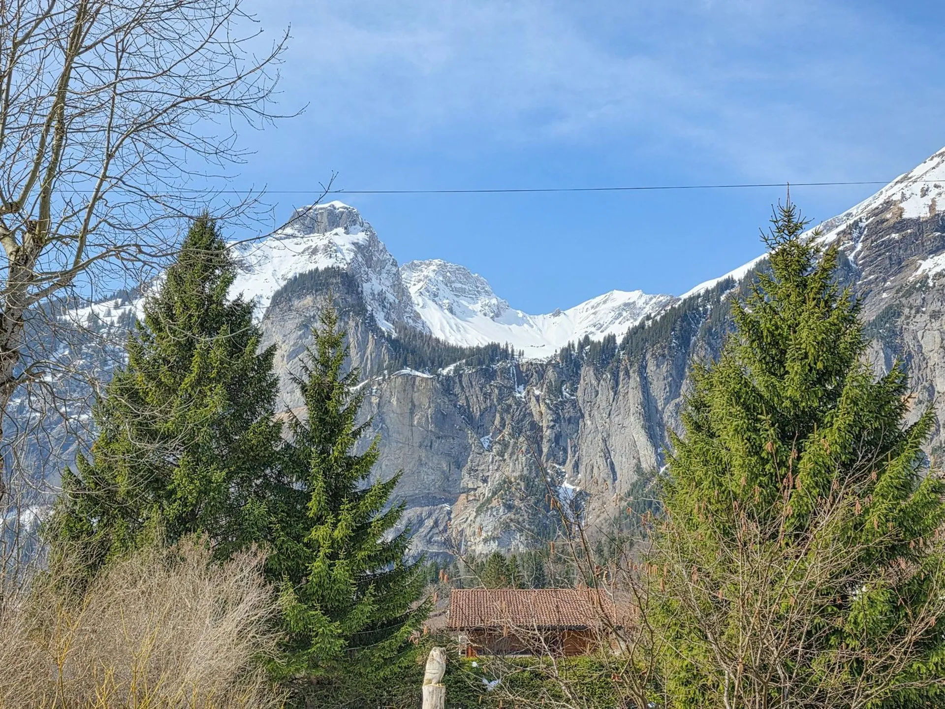 Image 23