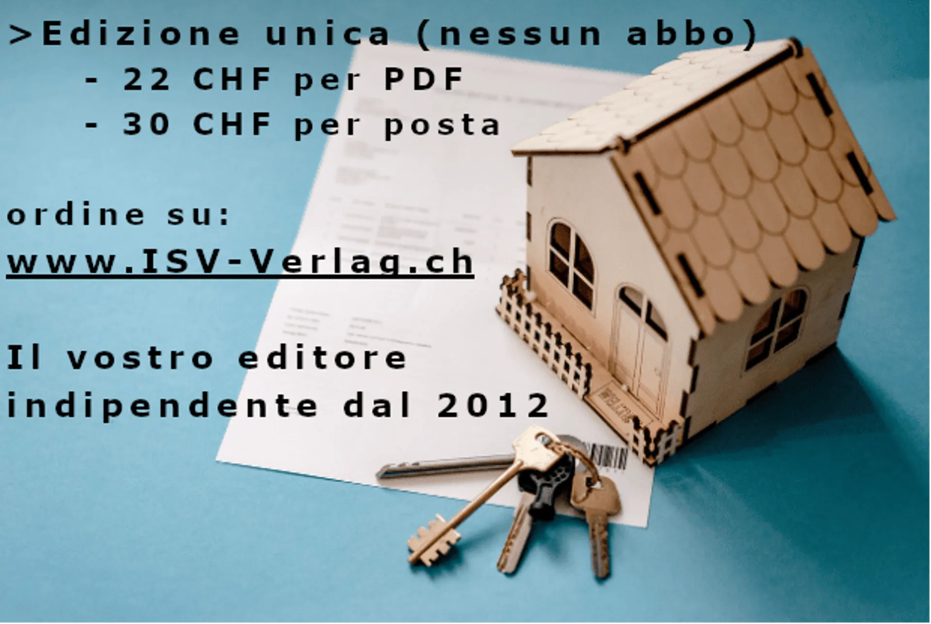 Immagine 11