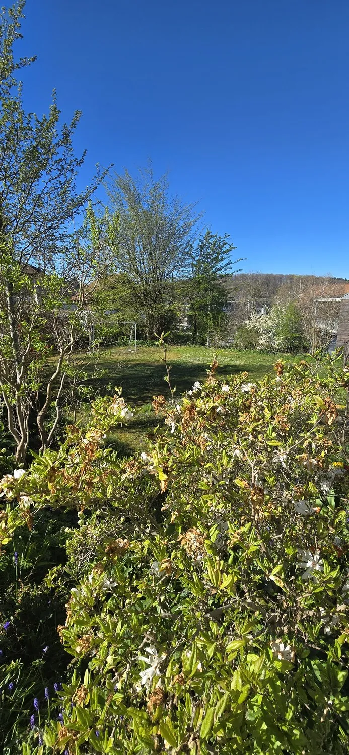 Image 18