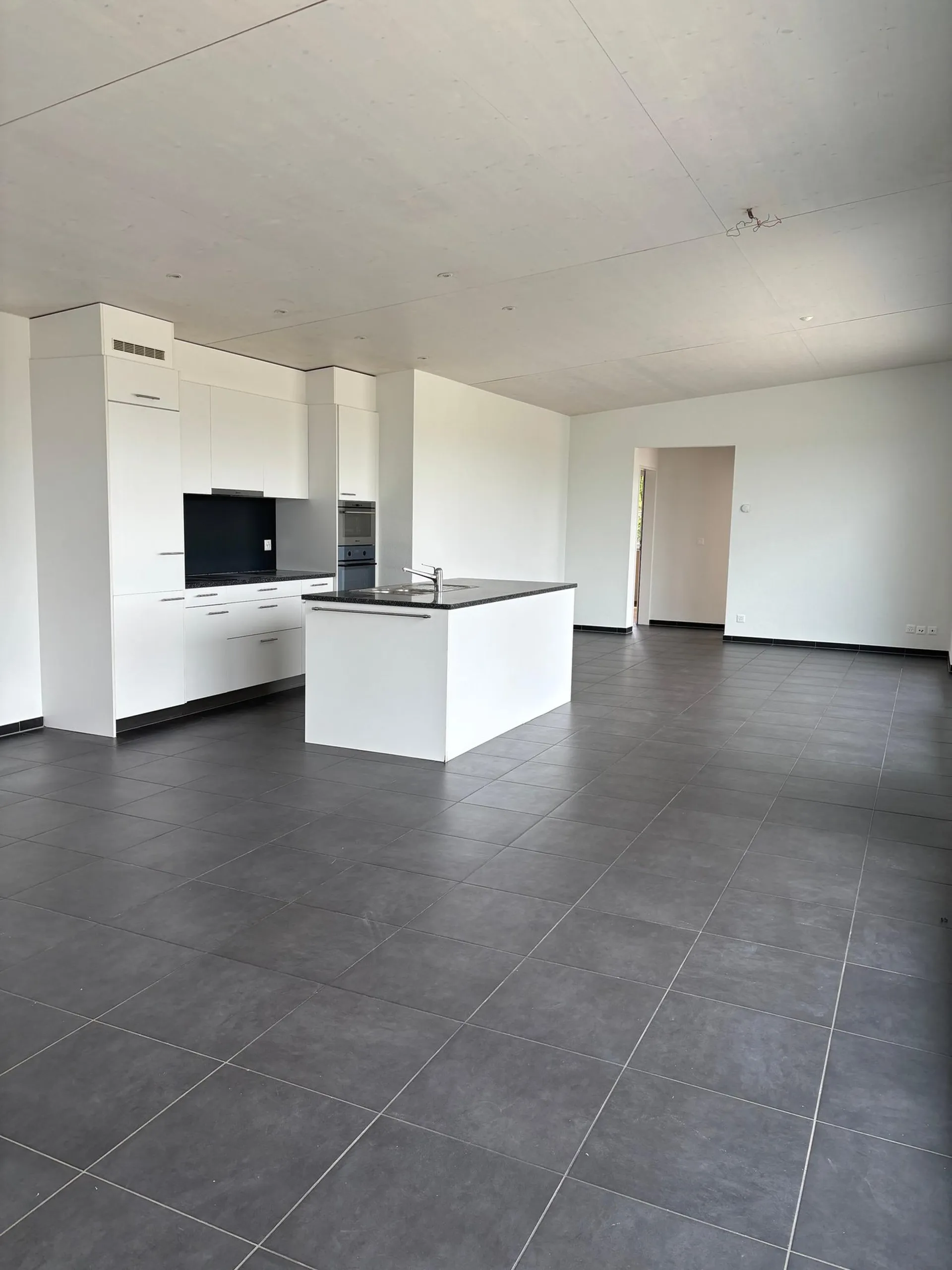 Grosszügige 5.5-Zimmer-Dachwohnung mit grosser Dachterasse in Dornach