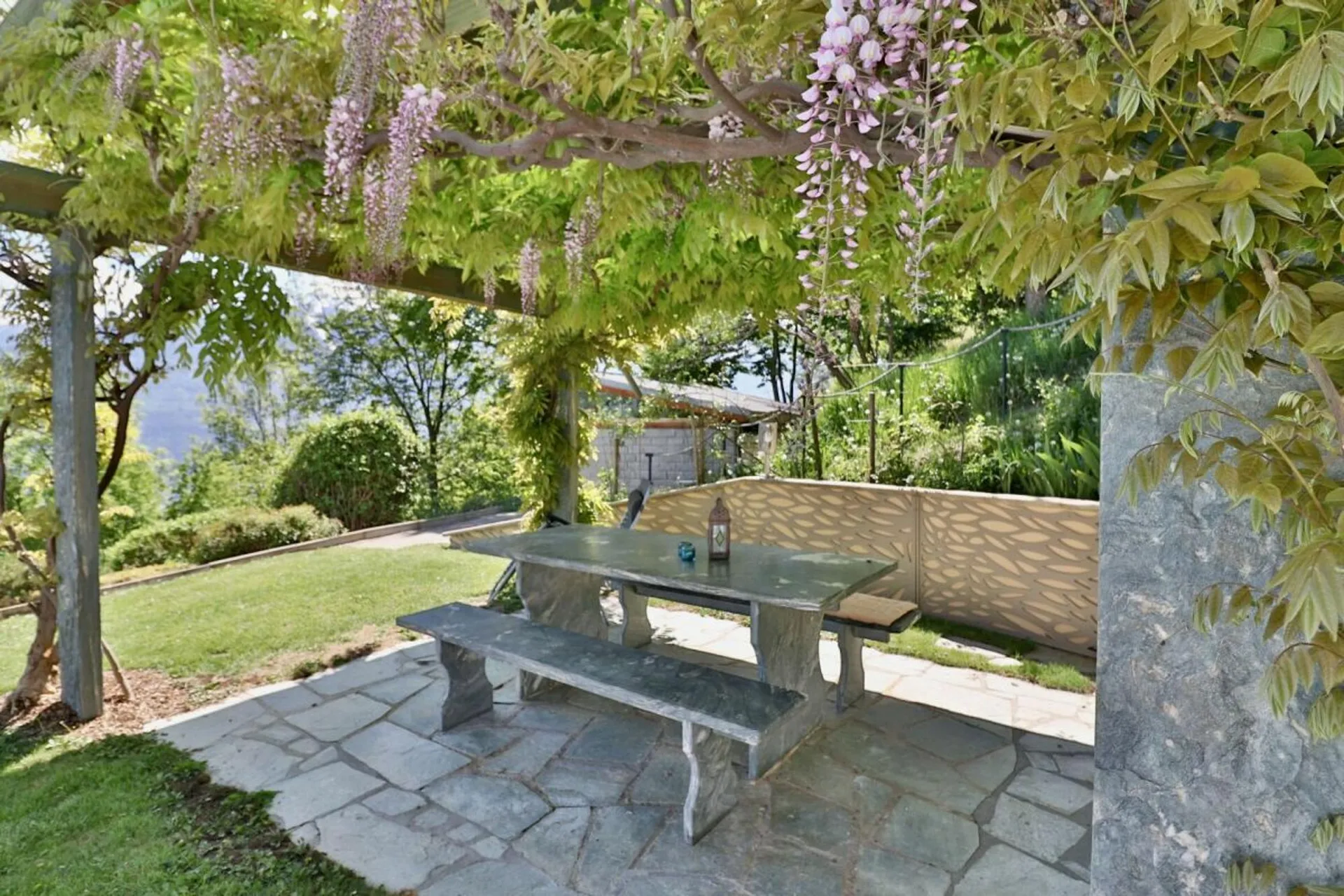 Immagine 5