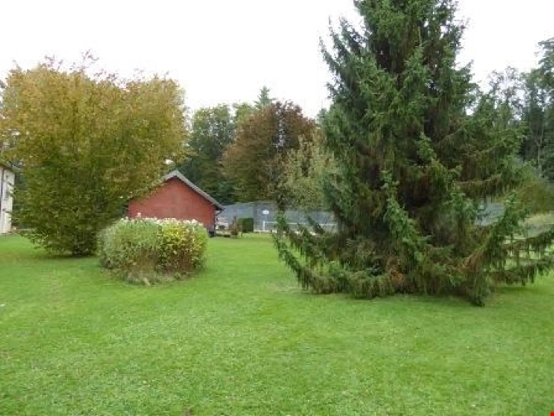 Image 10