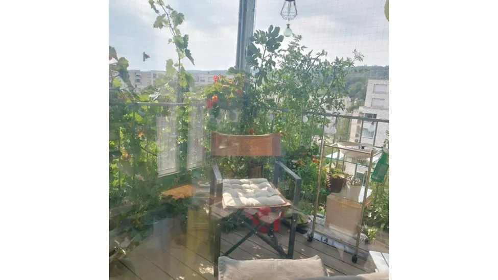 Bild 6
