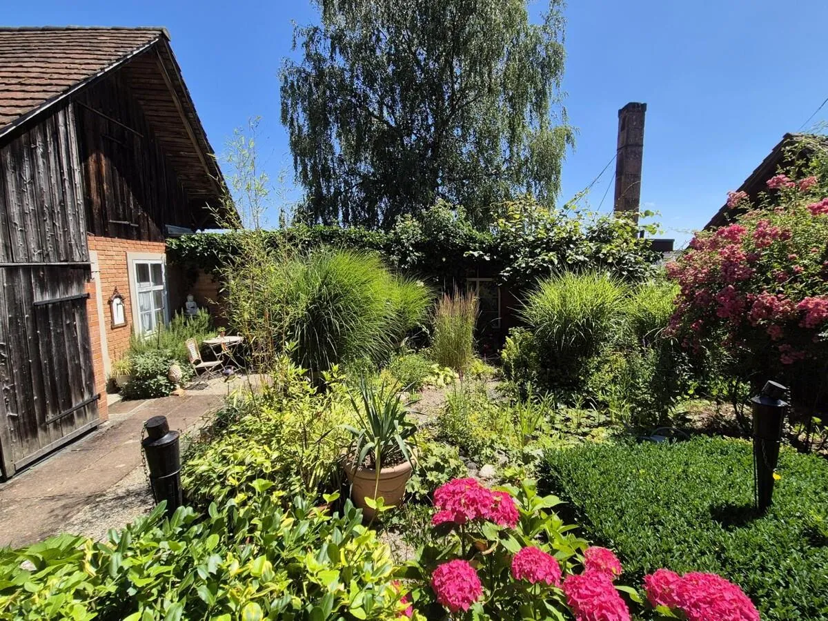 Image 12