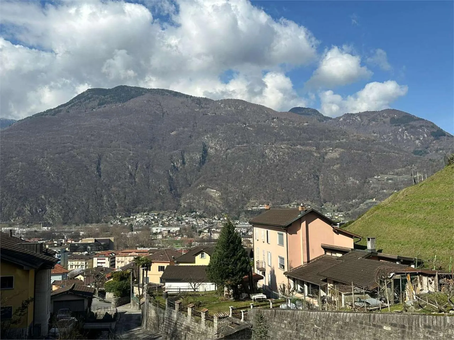 Immagine 6