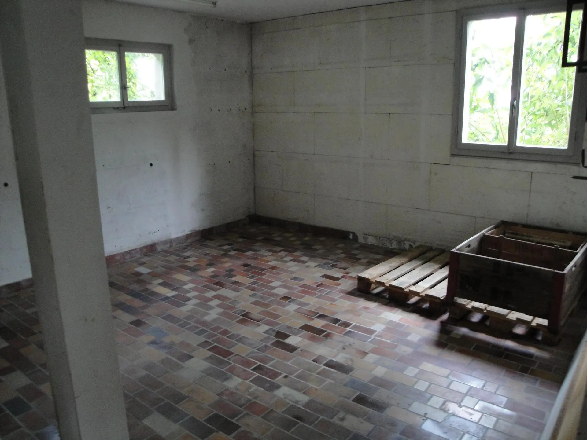 Image 5