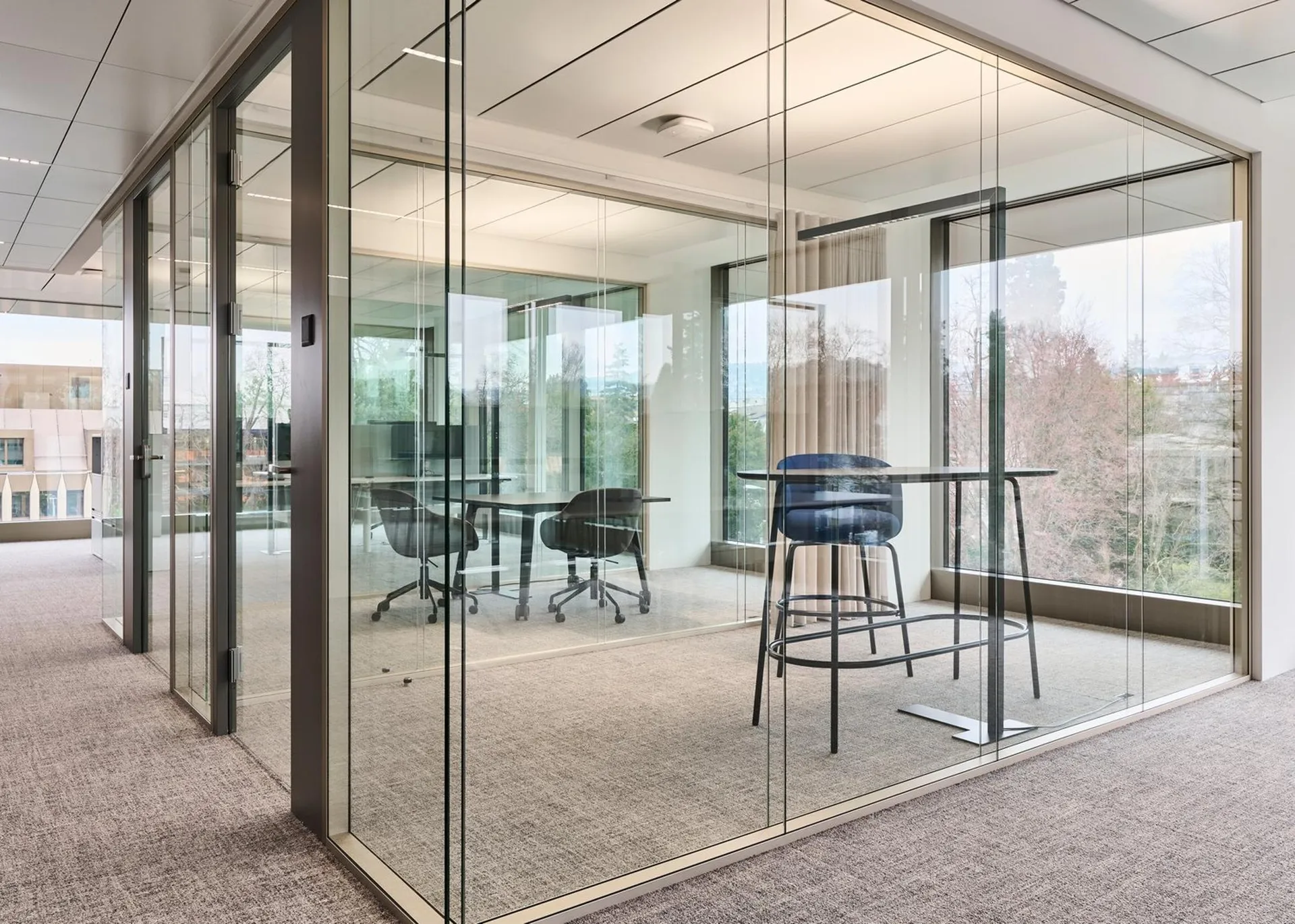 Immagine 5