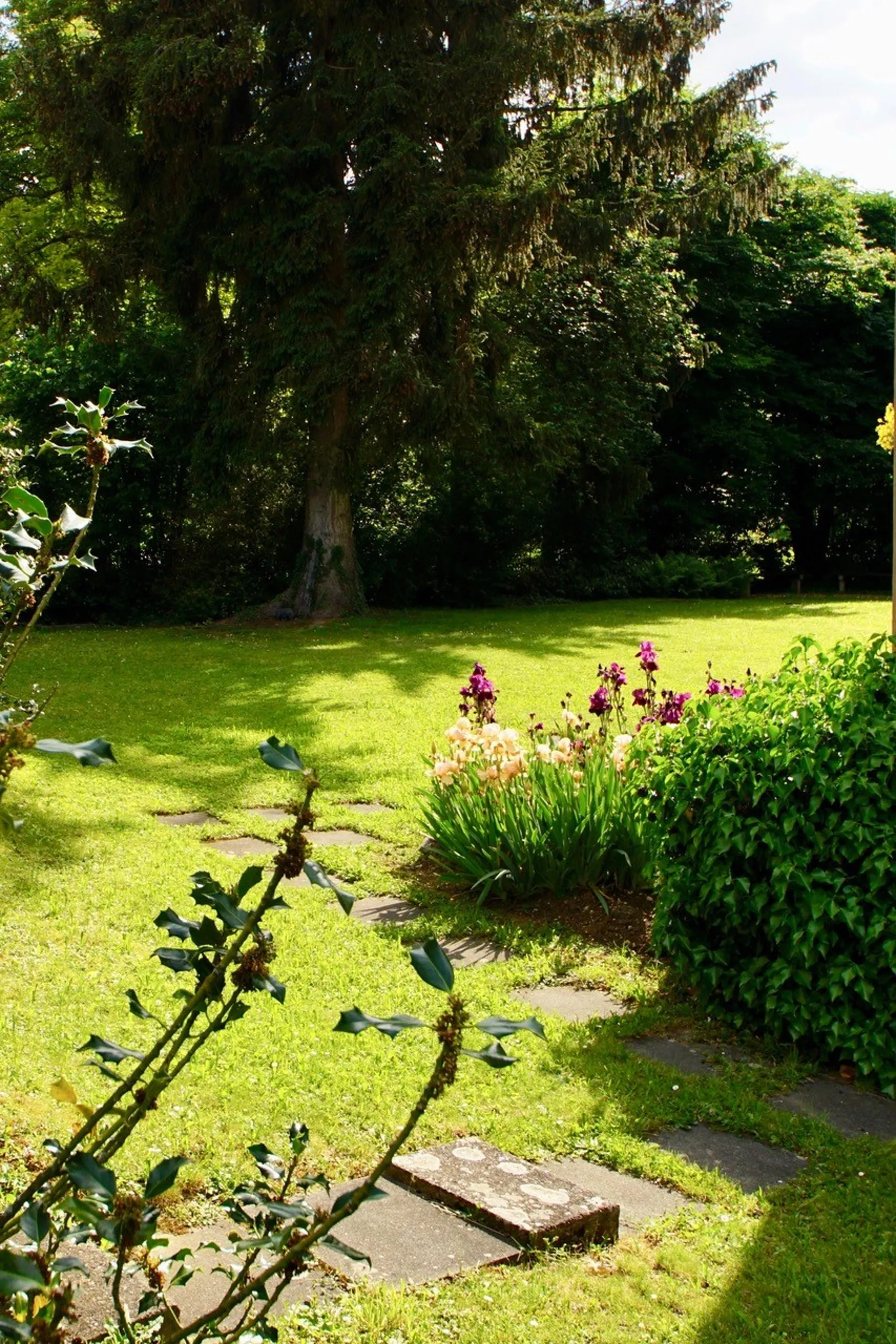 Image 5