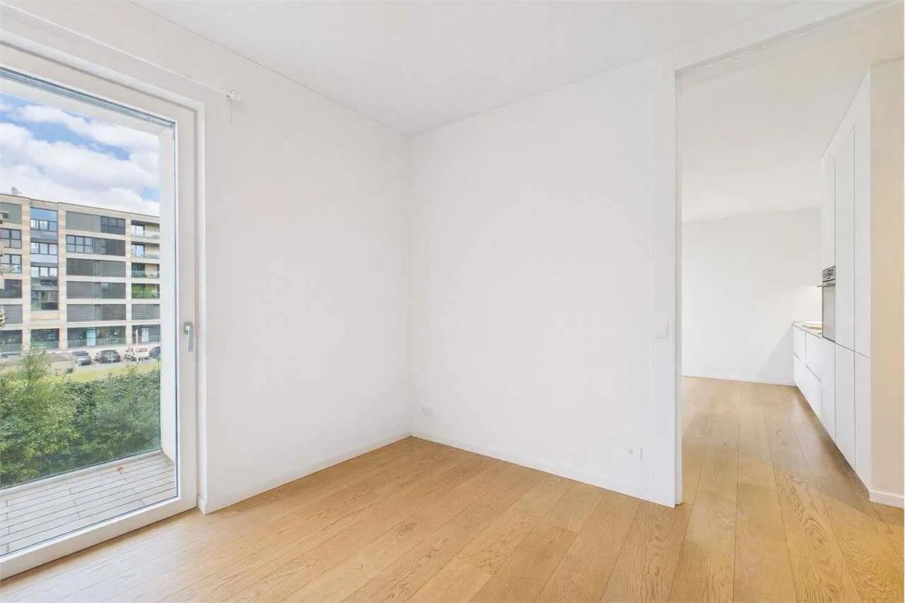 Immagine 7