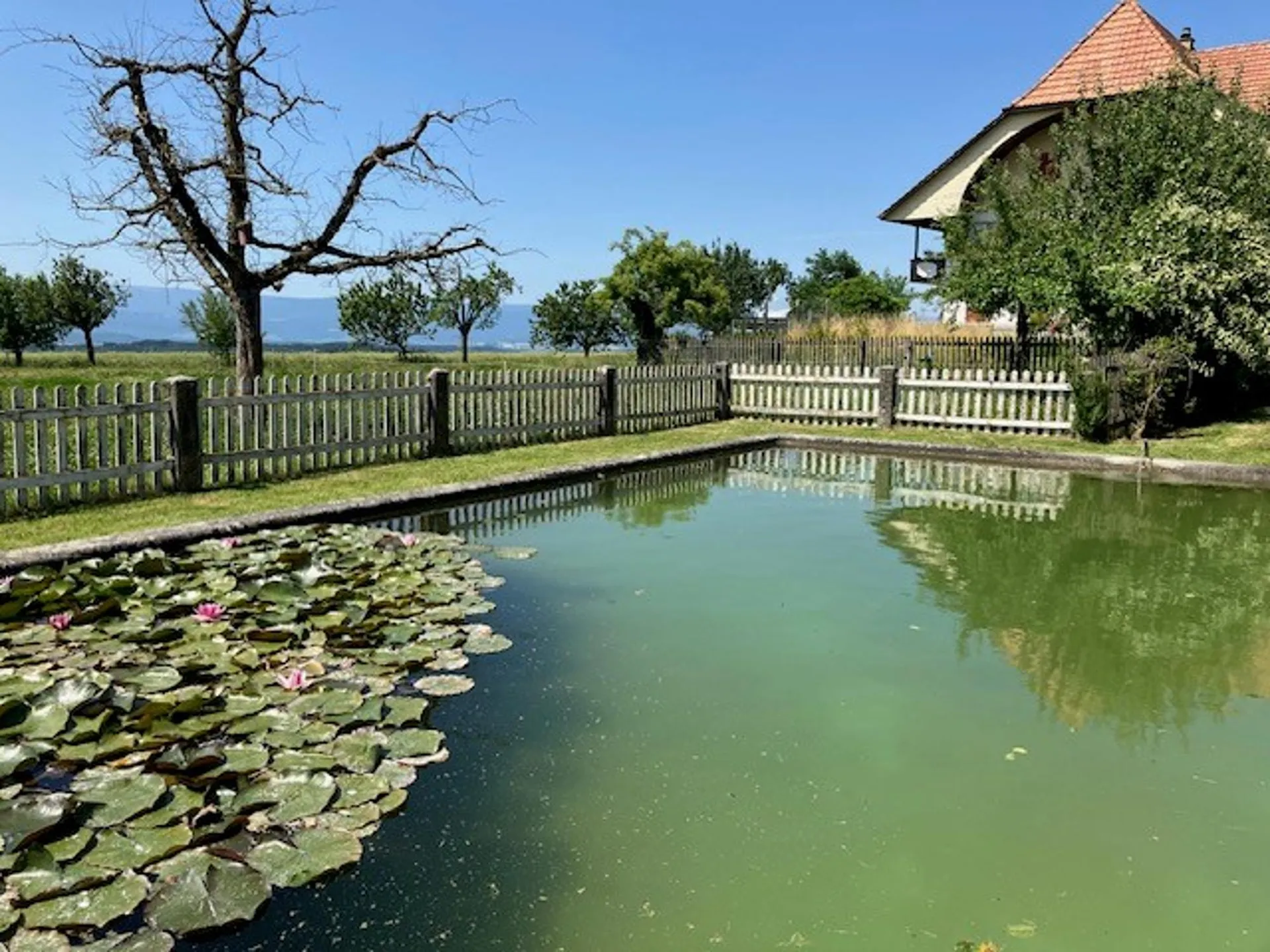 Image 10