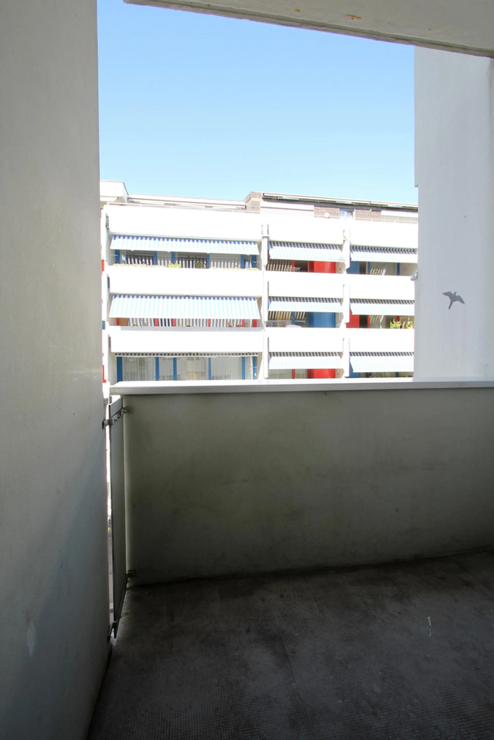 Image 6