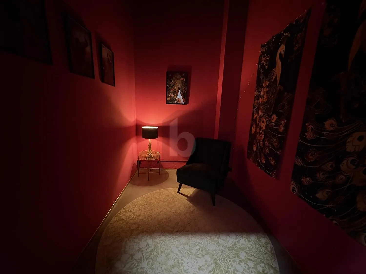 Image 7
