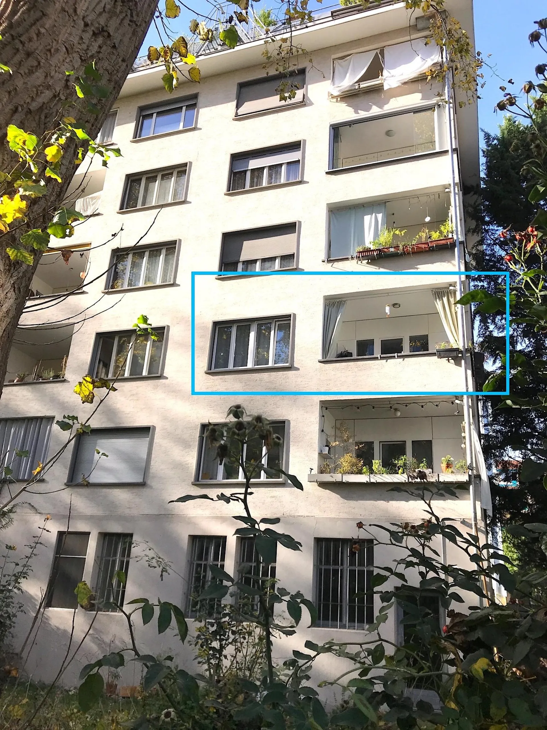 Bild 12