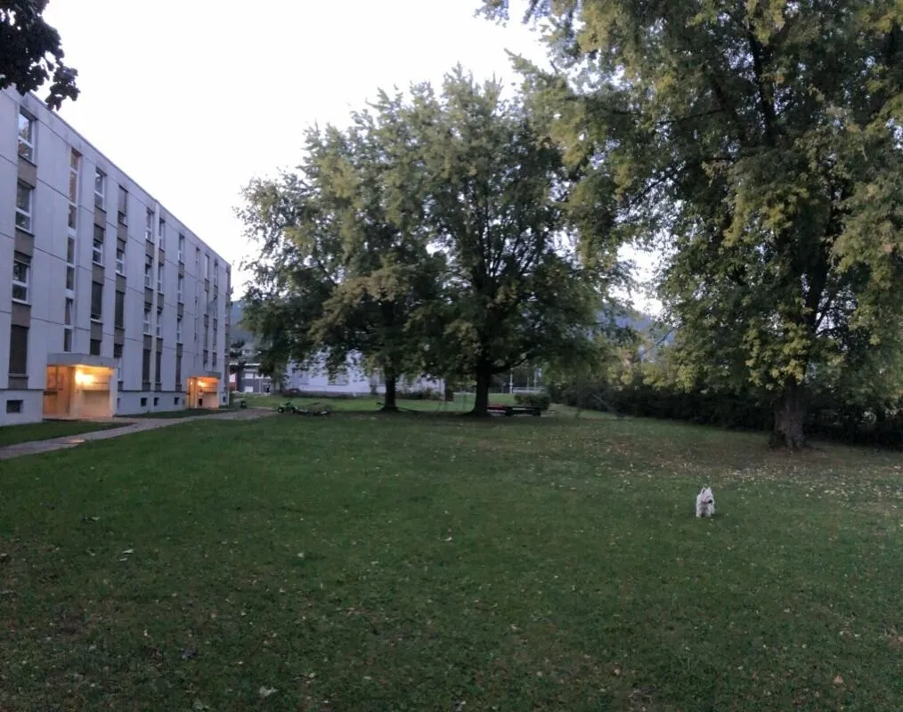 Bild 14