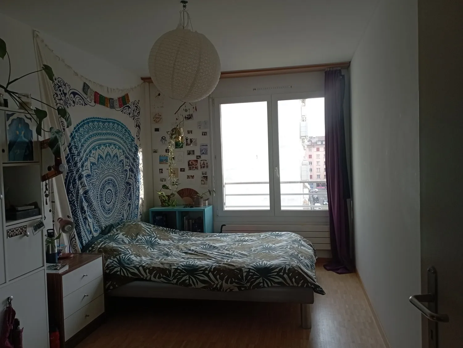 Image 2
