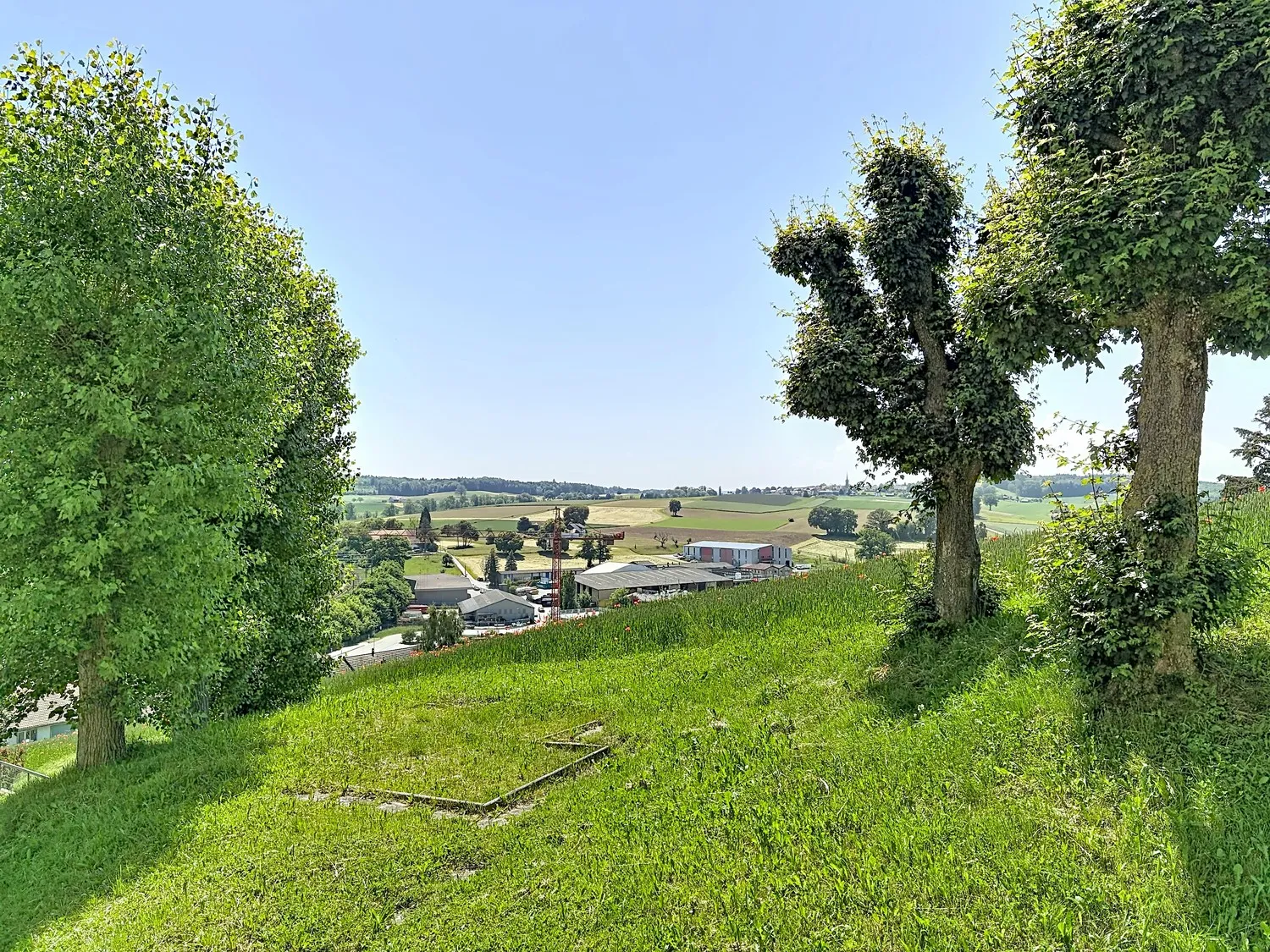 Image 7