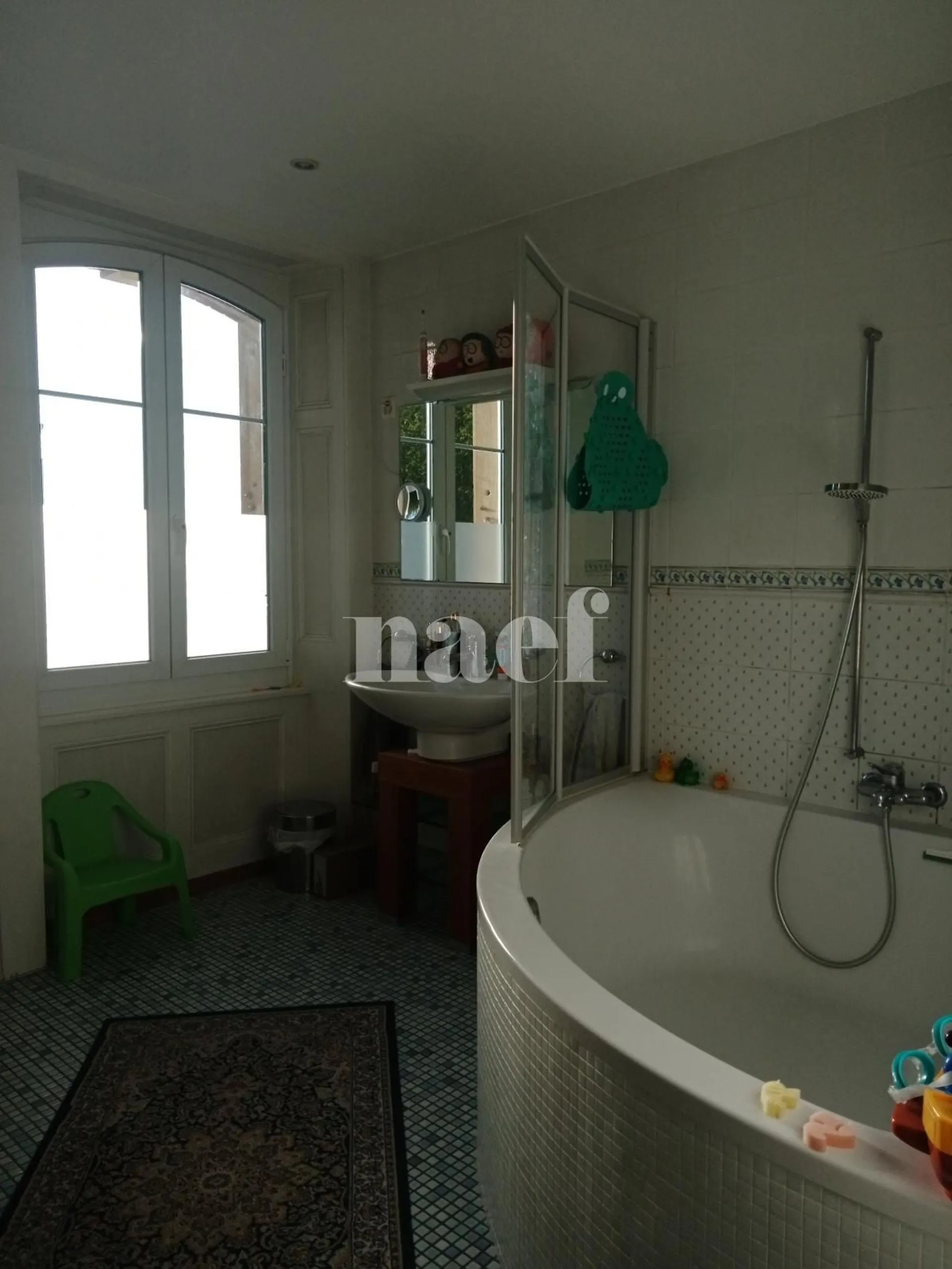 Image 8