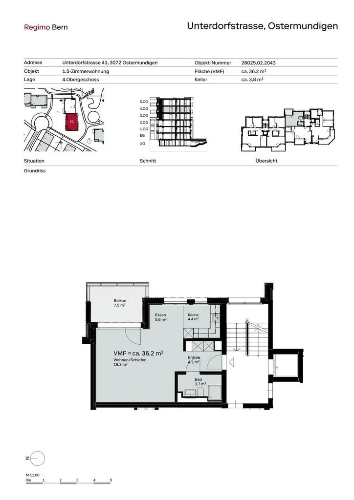 Image 6