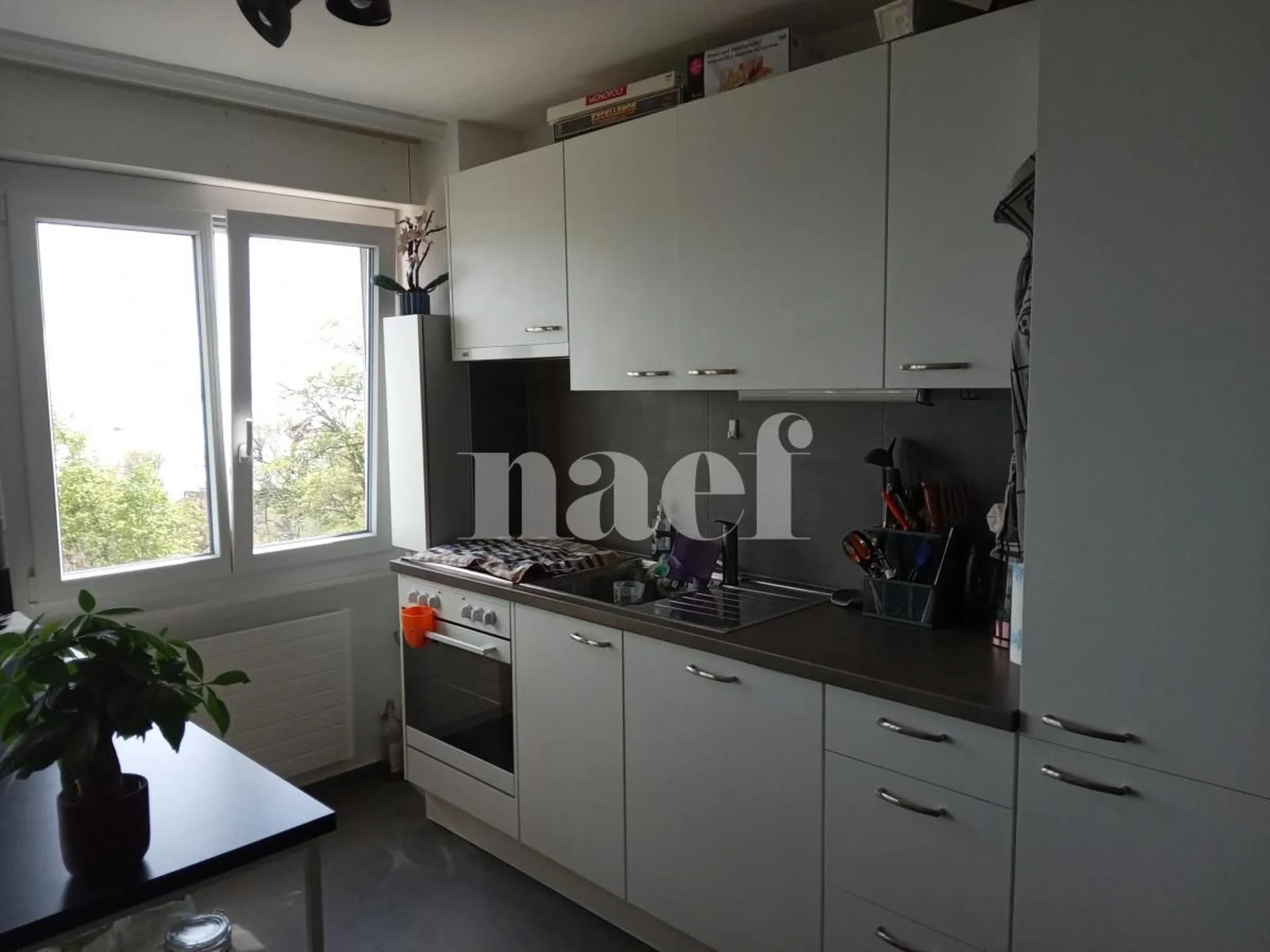 Charmant logement avec vue sur le lac