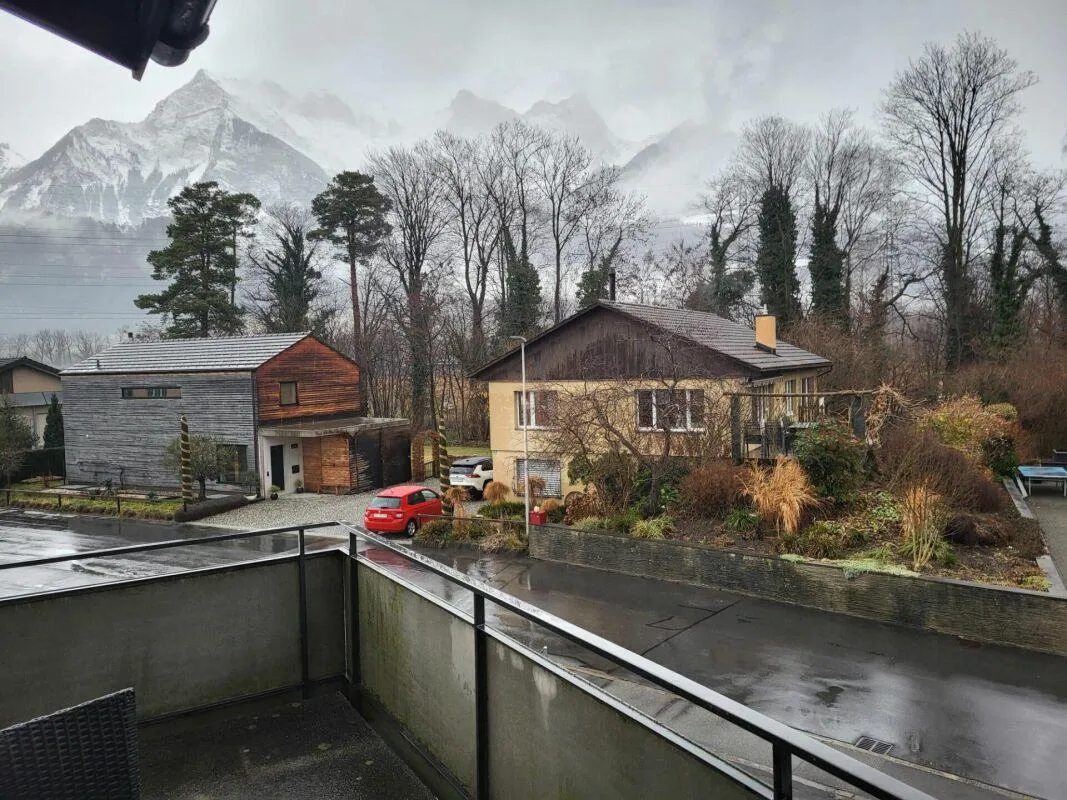 Image 15