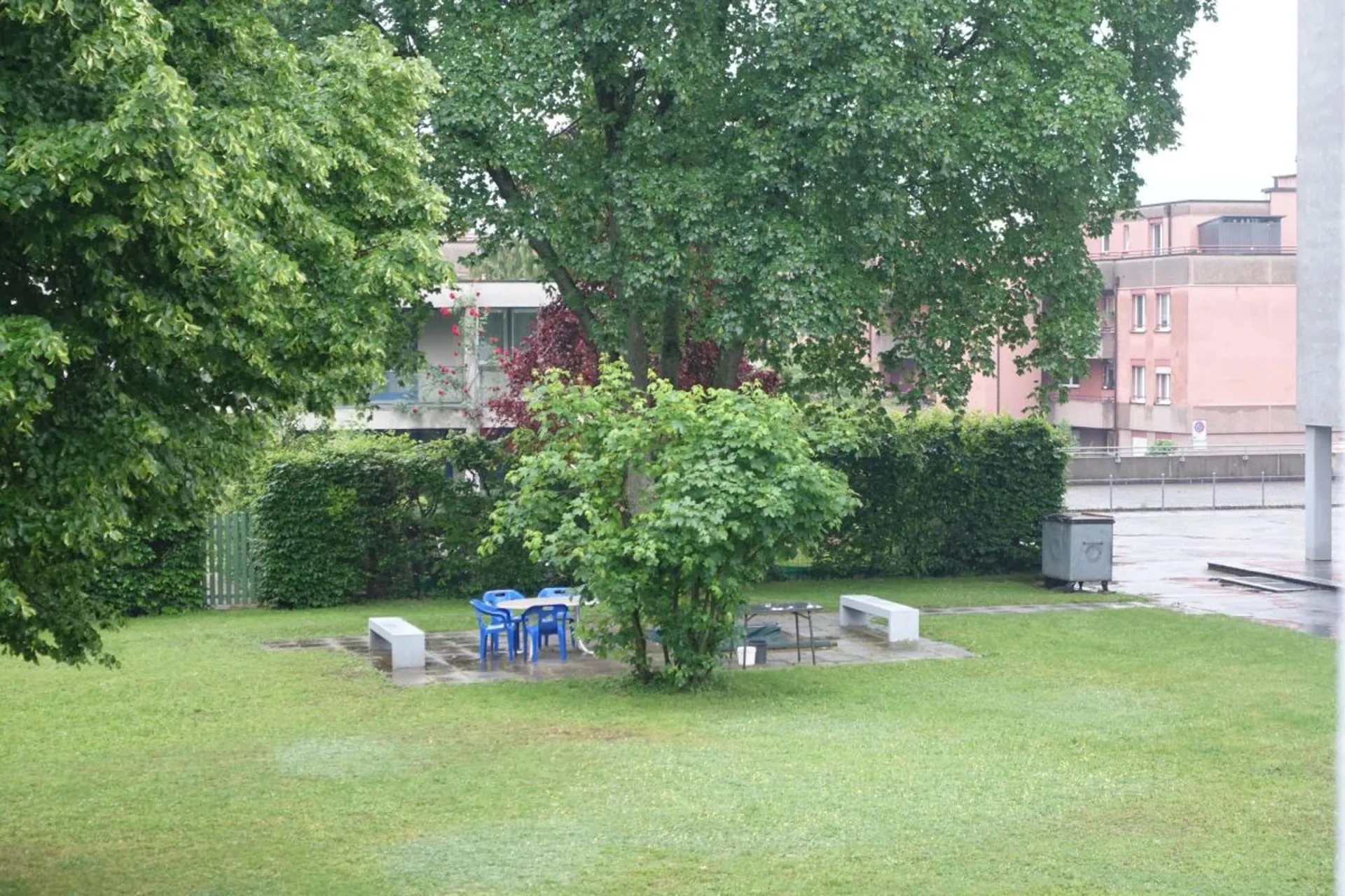 Image 17