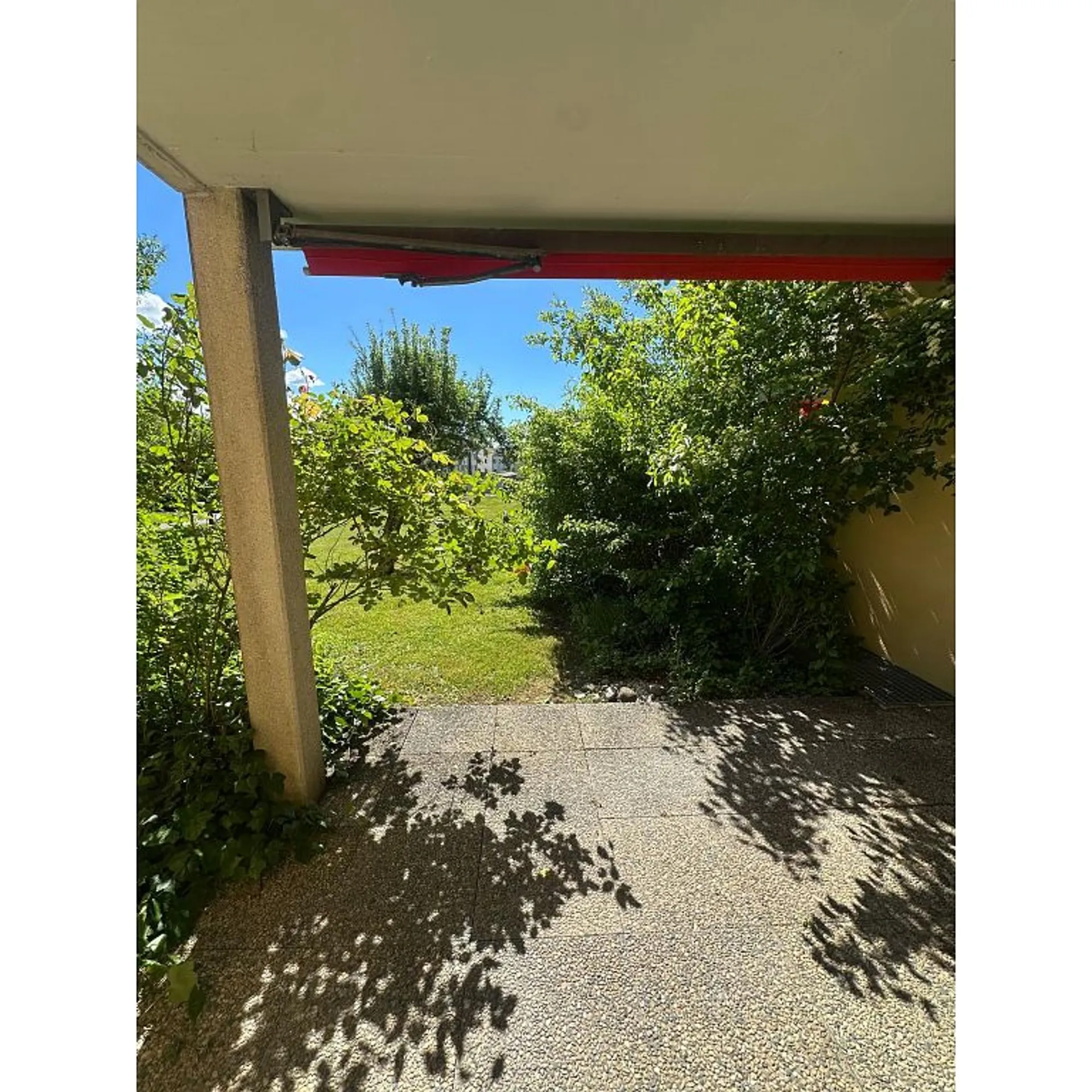 Image 12