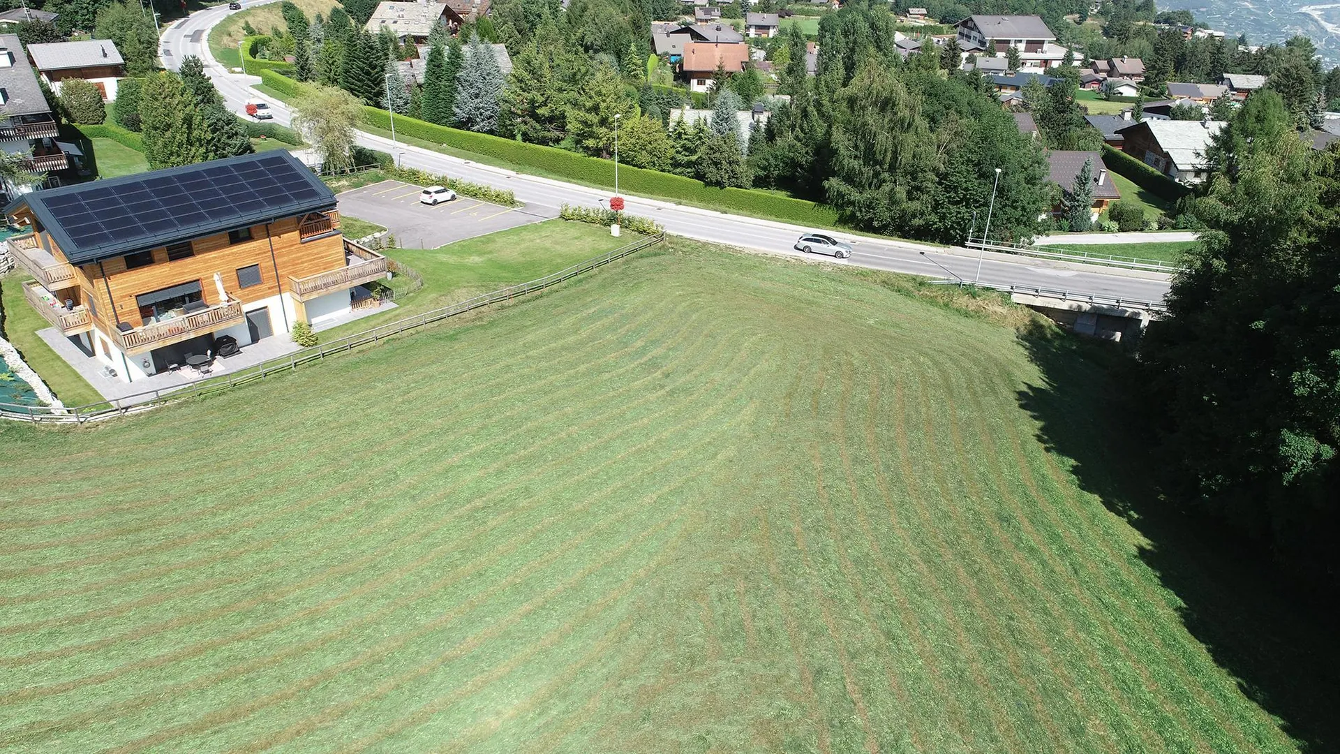 Image 11