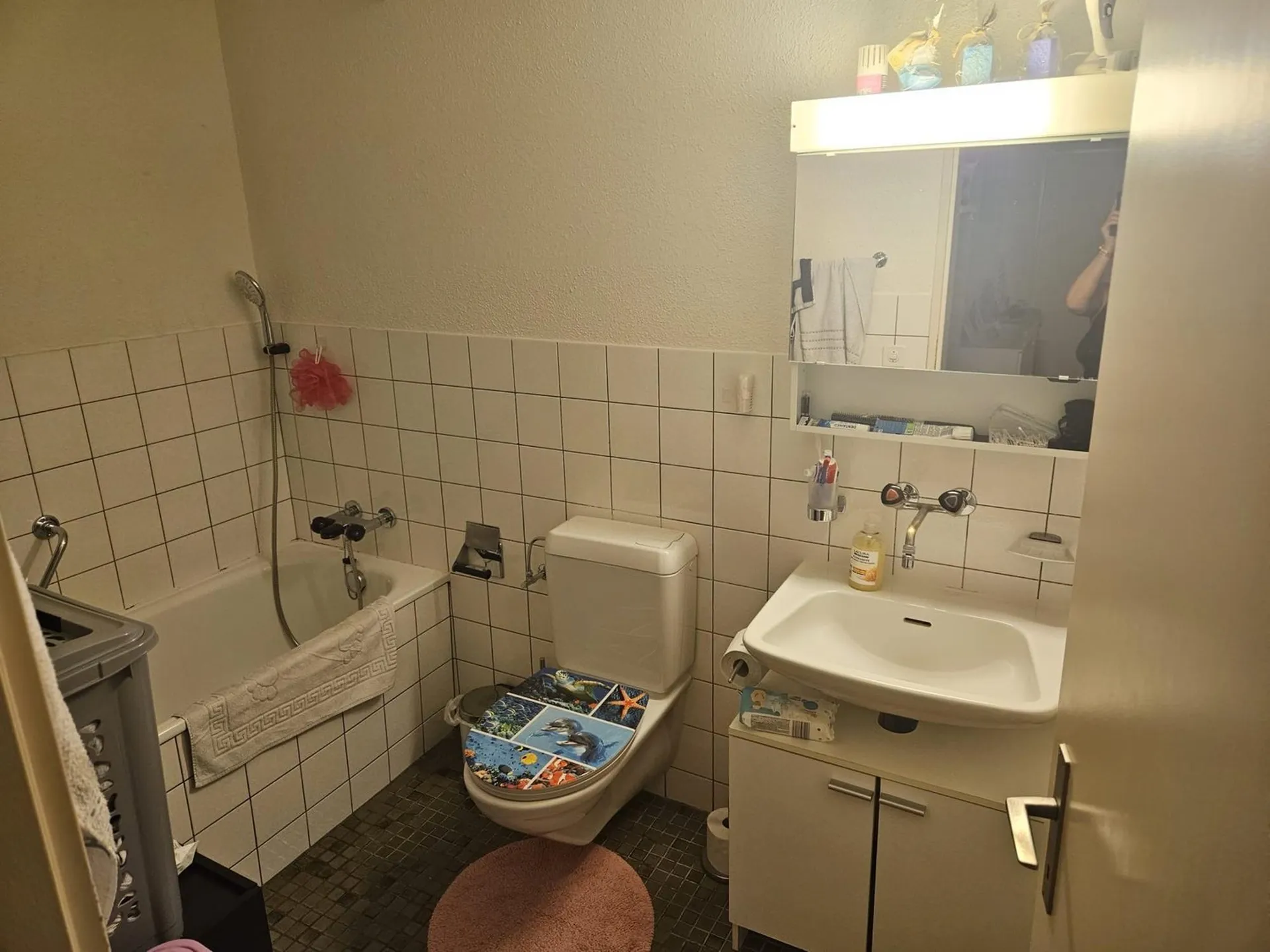 Bild 6