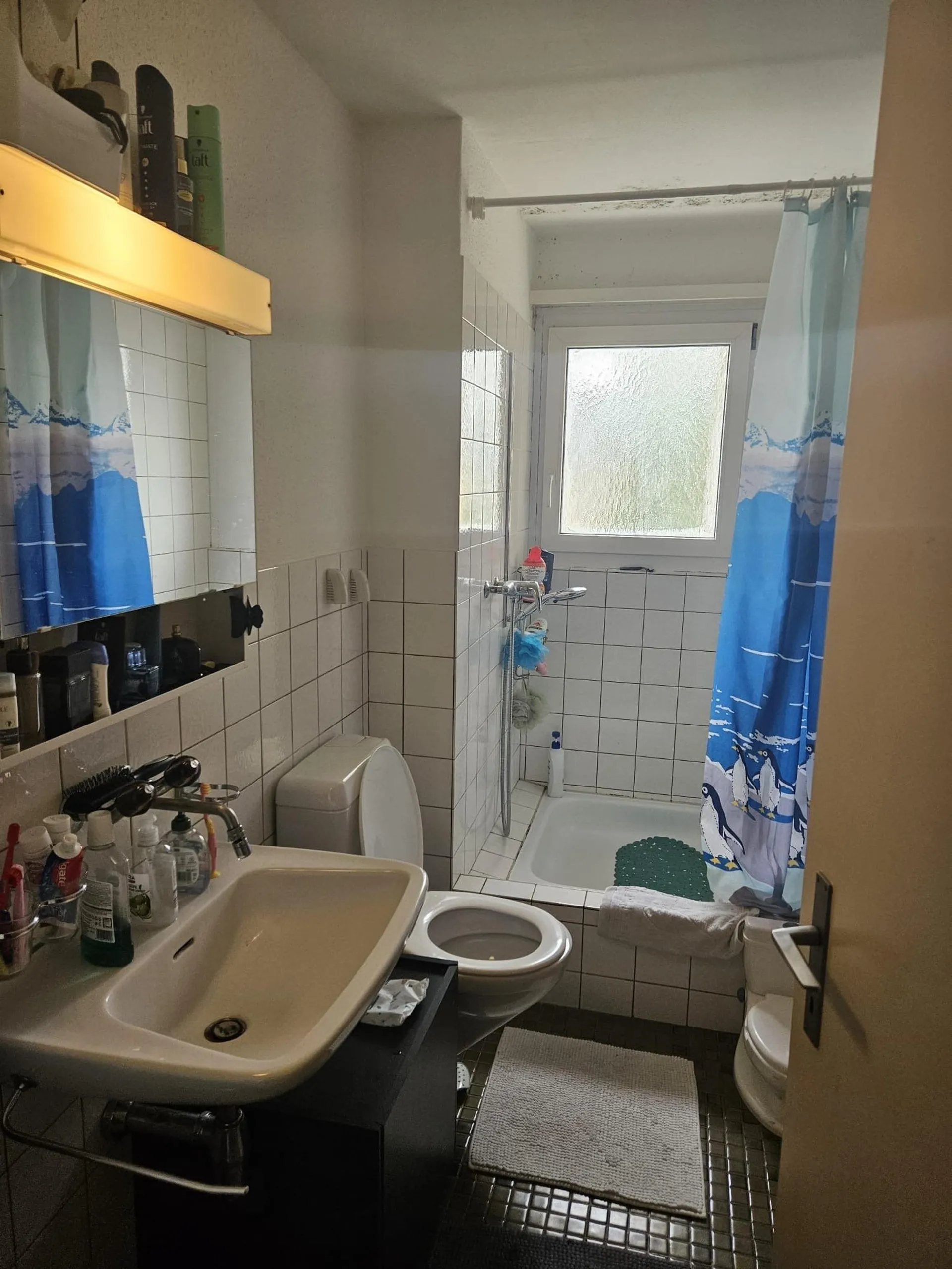 Bild 8