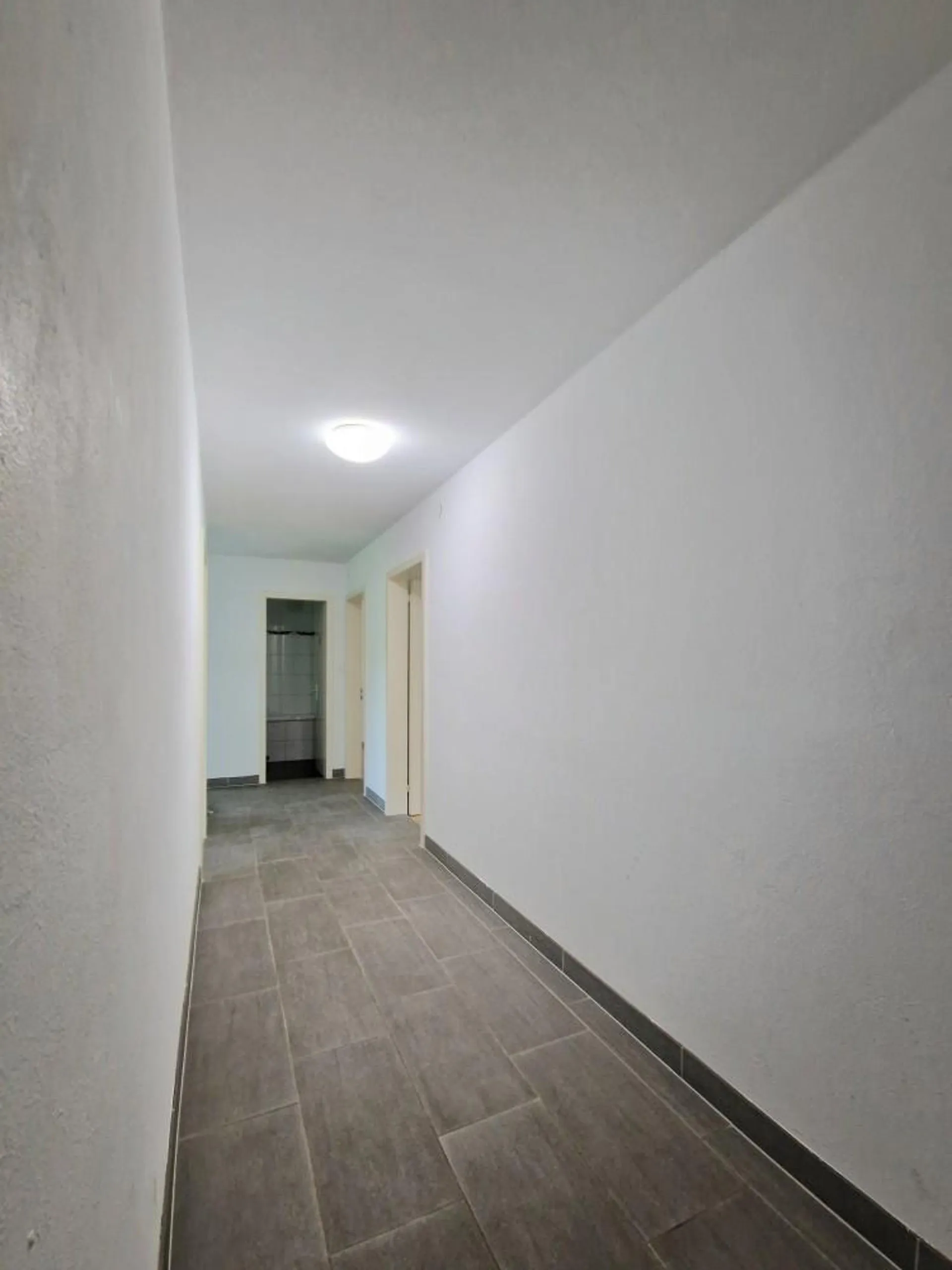 Image 13