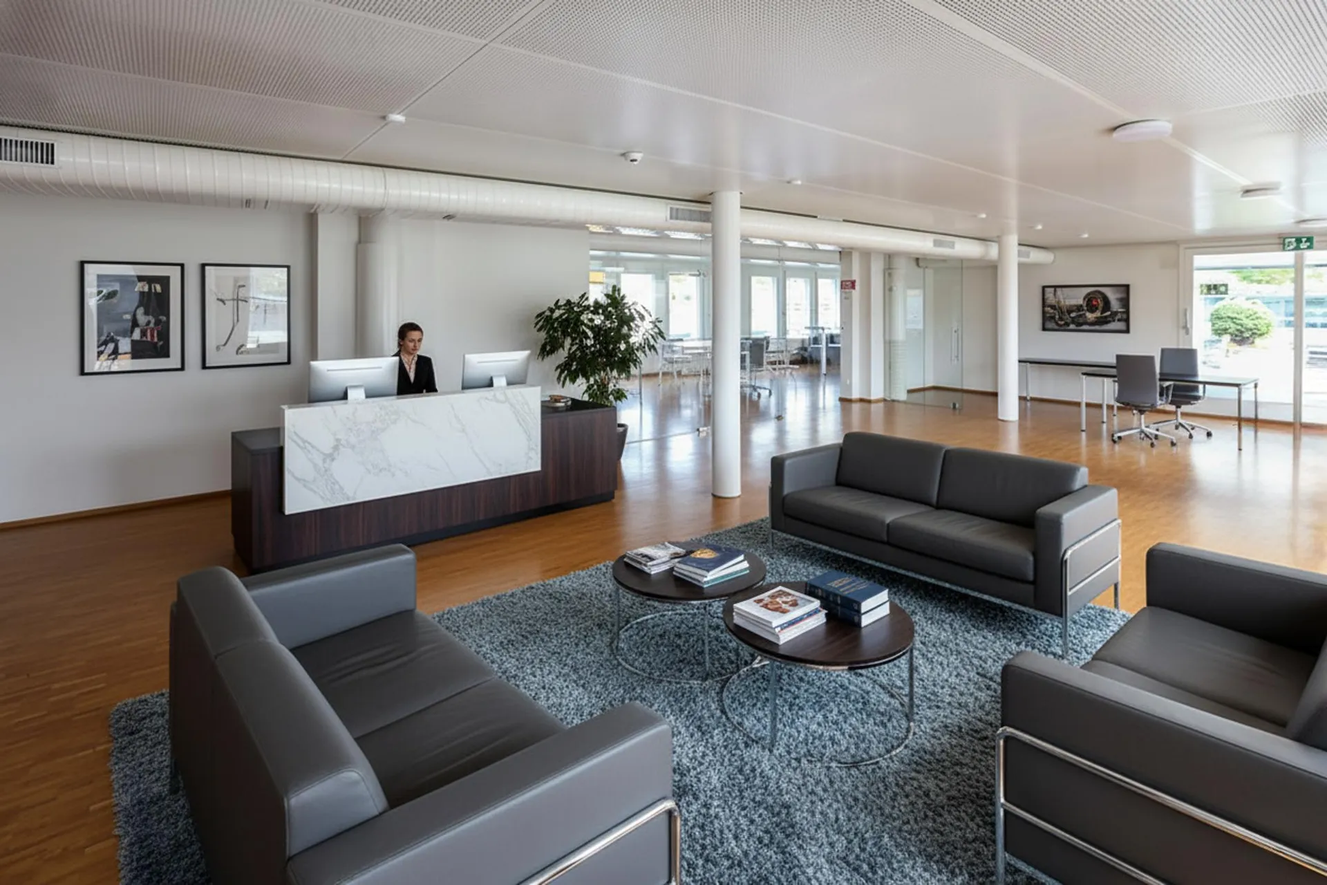 Büro oder Arztpraxis im Attikageschoss mit 163 m2 Terrasse