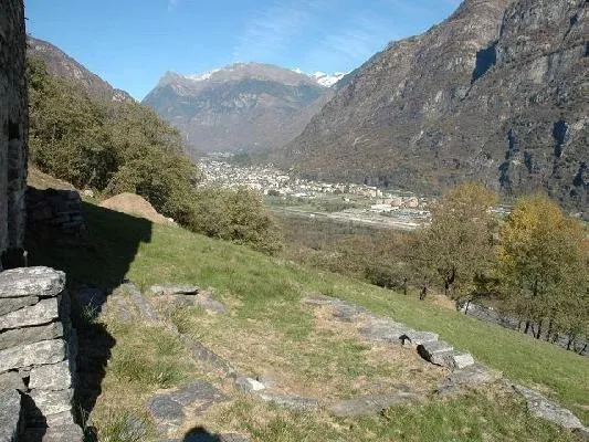 Immagine 4