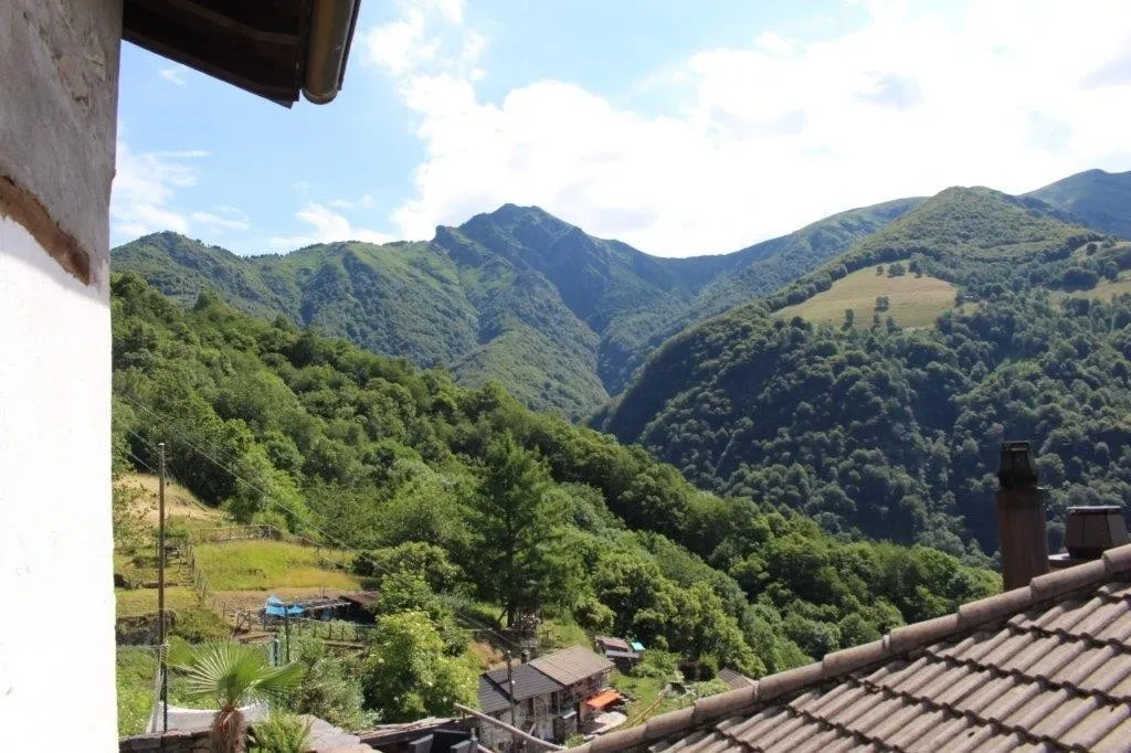 Immagine 5