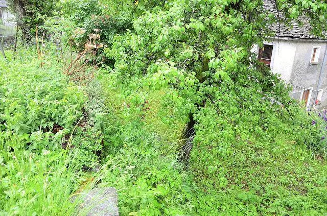 Image 17
