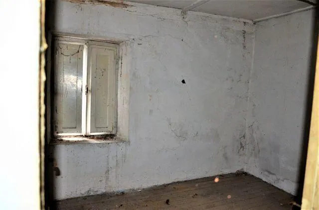 Image 15