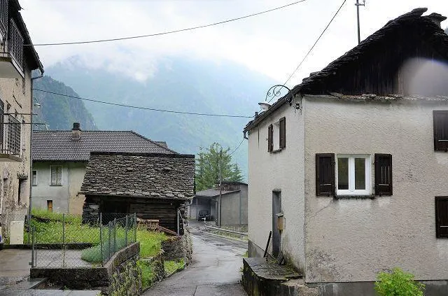 Image 25