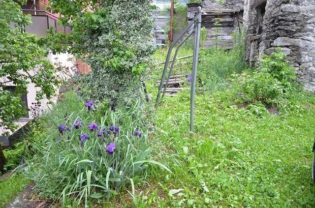 Image 19