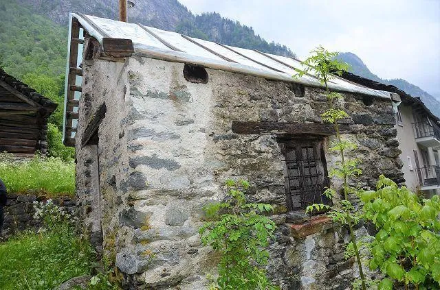 Image 8