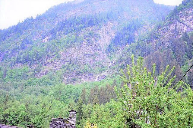 Image 20